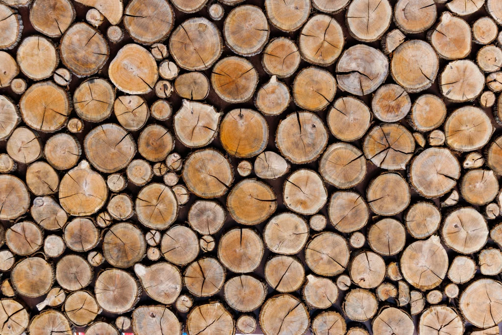 Bois issu de forêts gérées durablement pour menuiserie écologique.